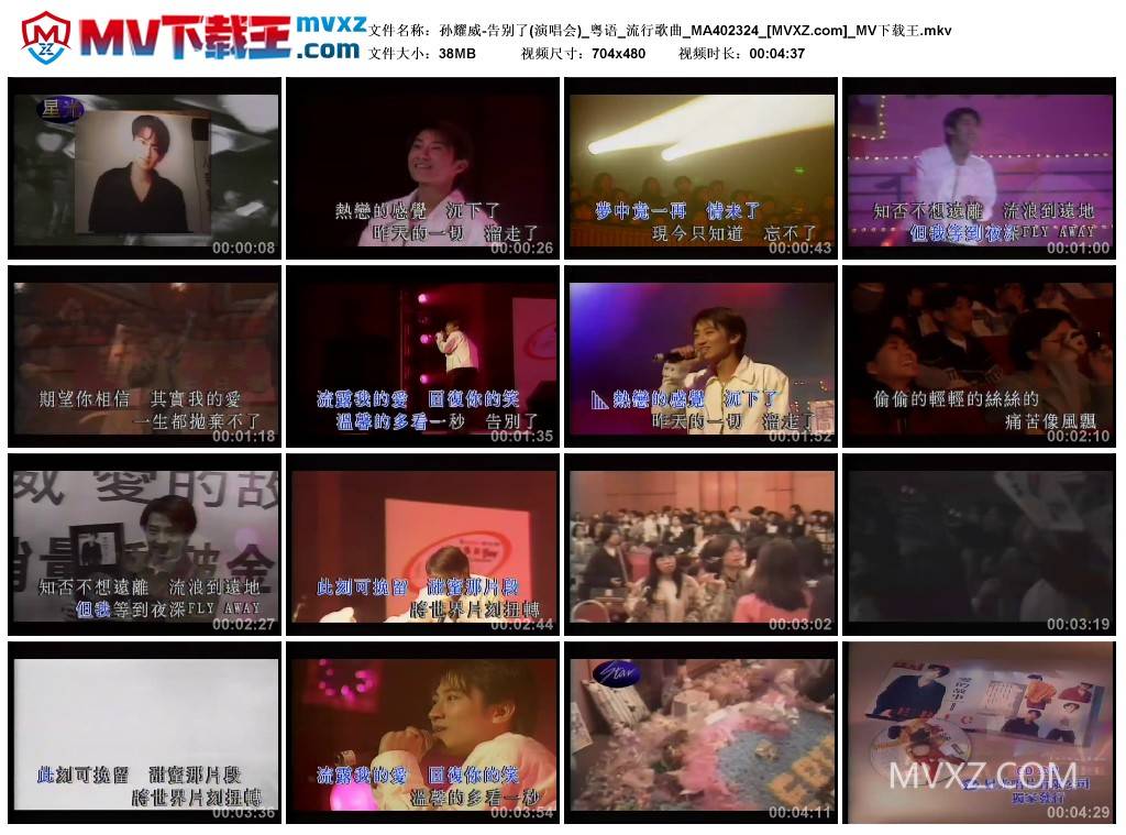 孙耀威-告别了(演唱会)_粤语_流行歌曲_MA402324